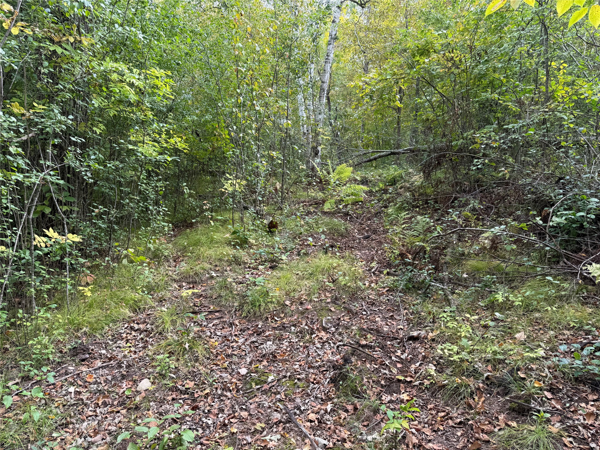 Property Photo #28