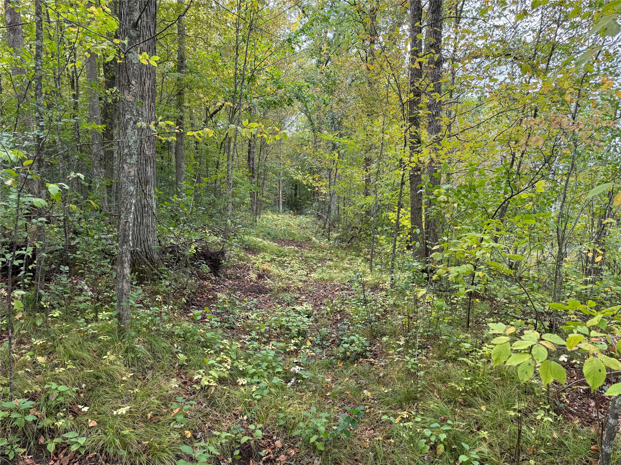 Property Photo #29