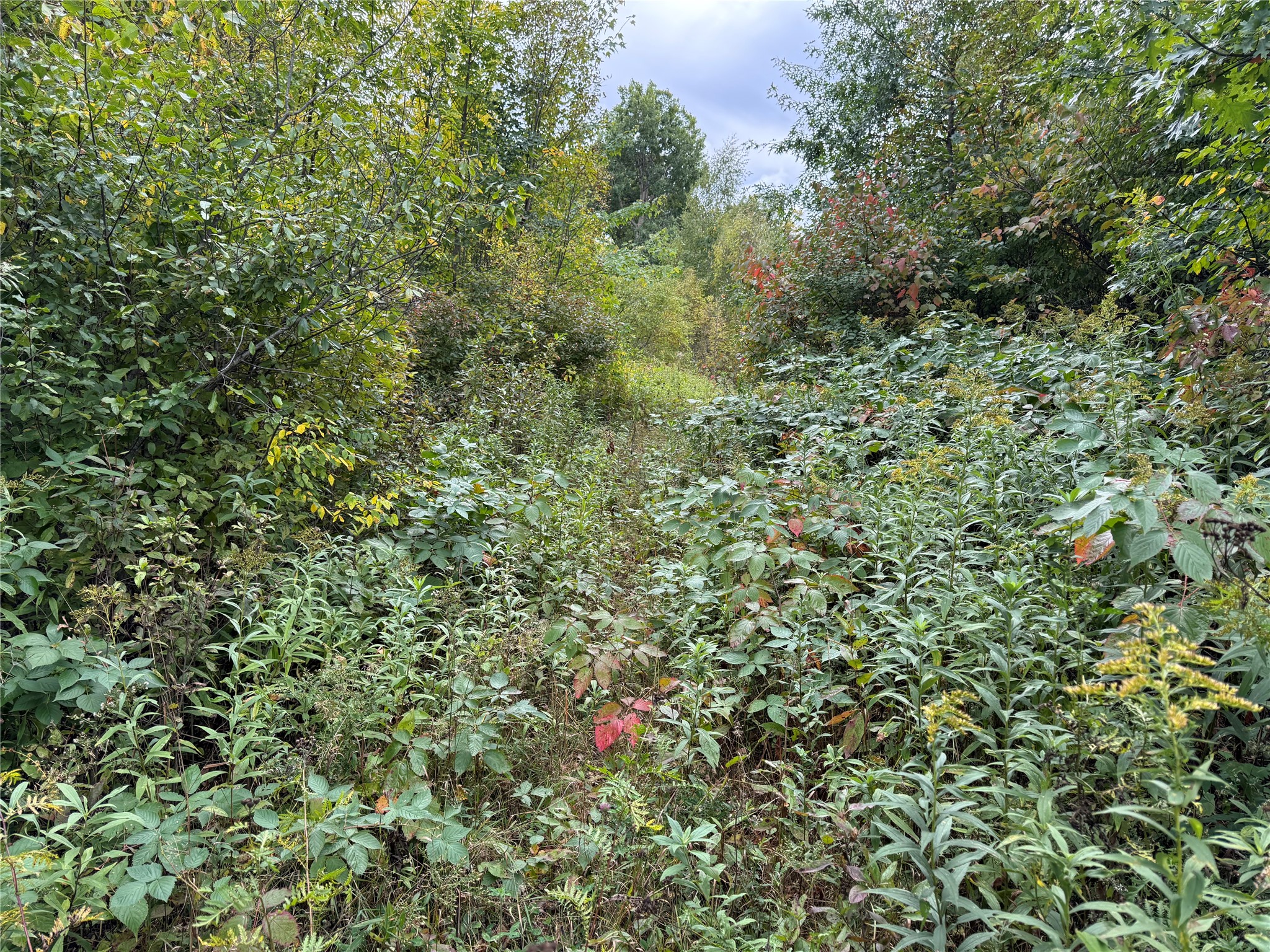 Property Photo #31