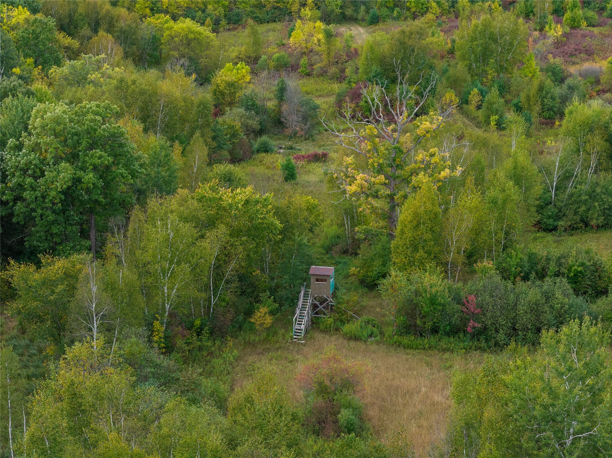Property Photo #37