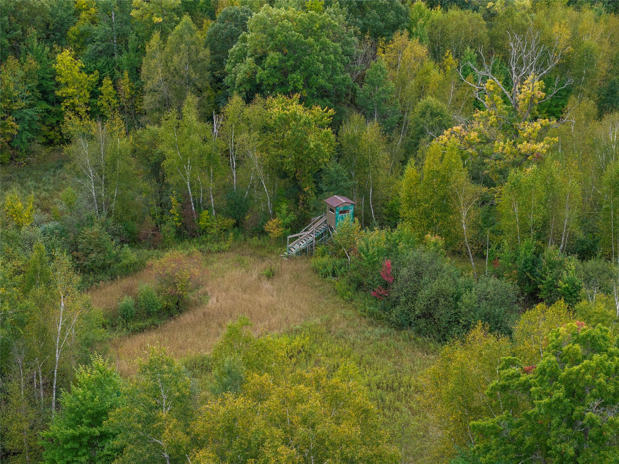 Property Photo #38