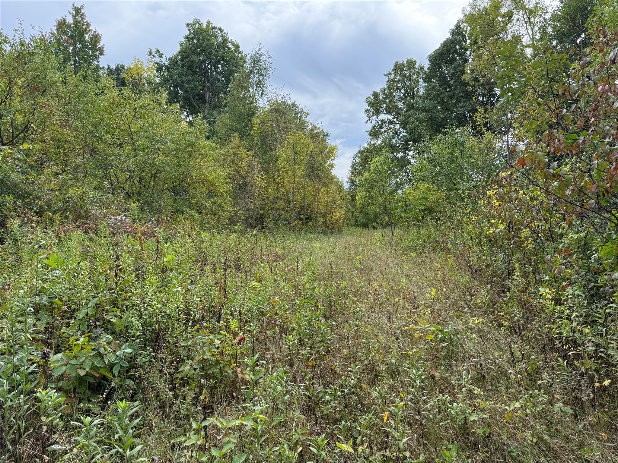Rice Lake - Land photo 4 of 44