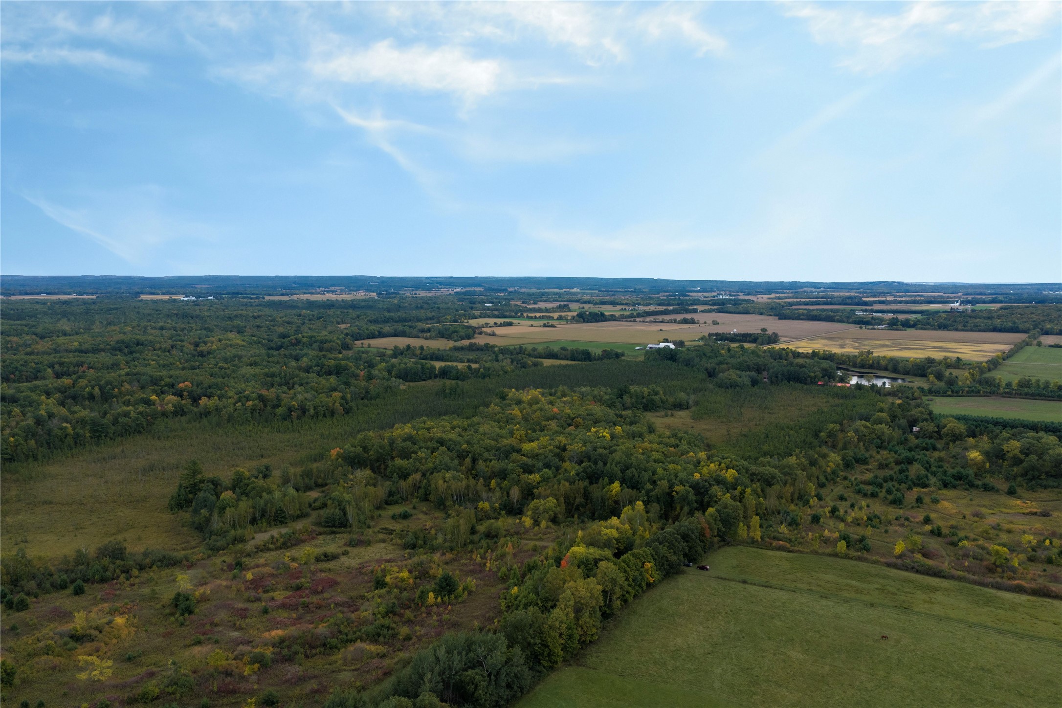 Property Photo #44