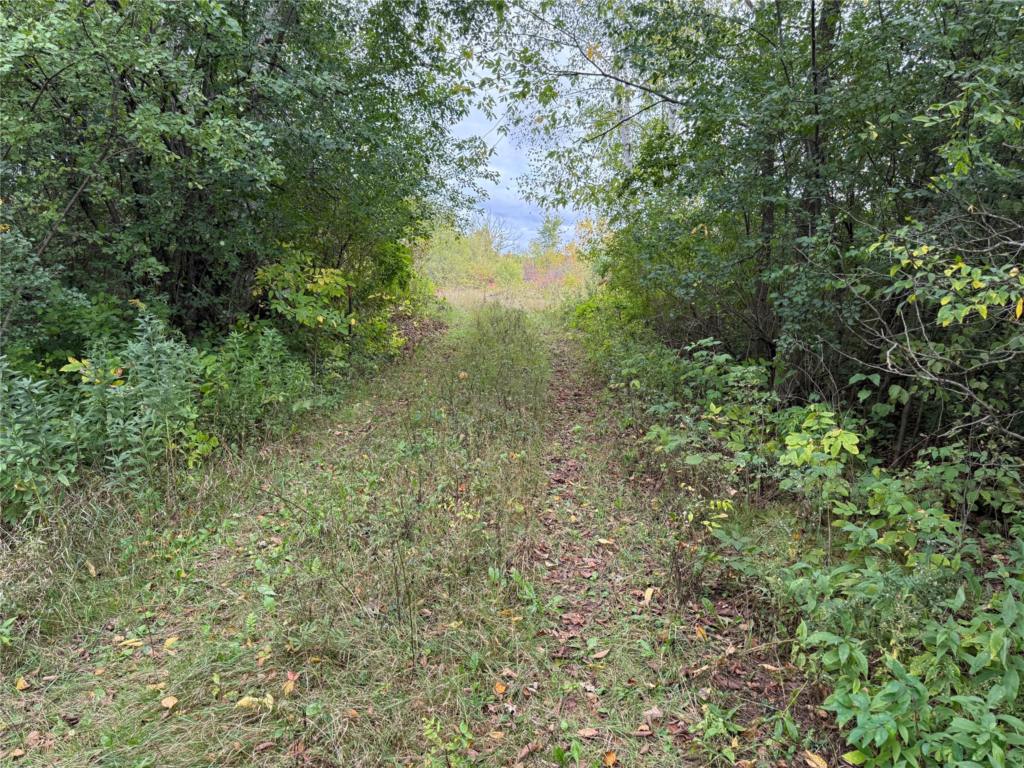 Rice Lake - Land photo 5 of 44