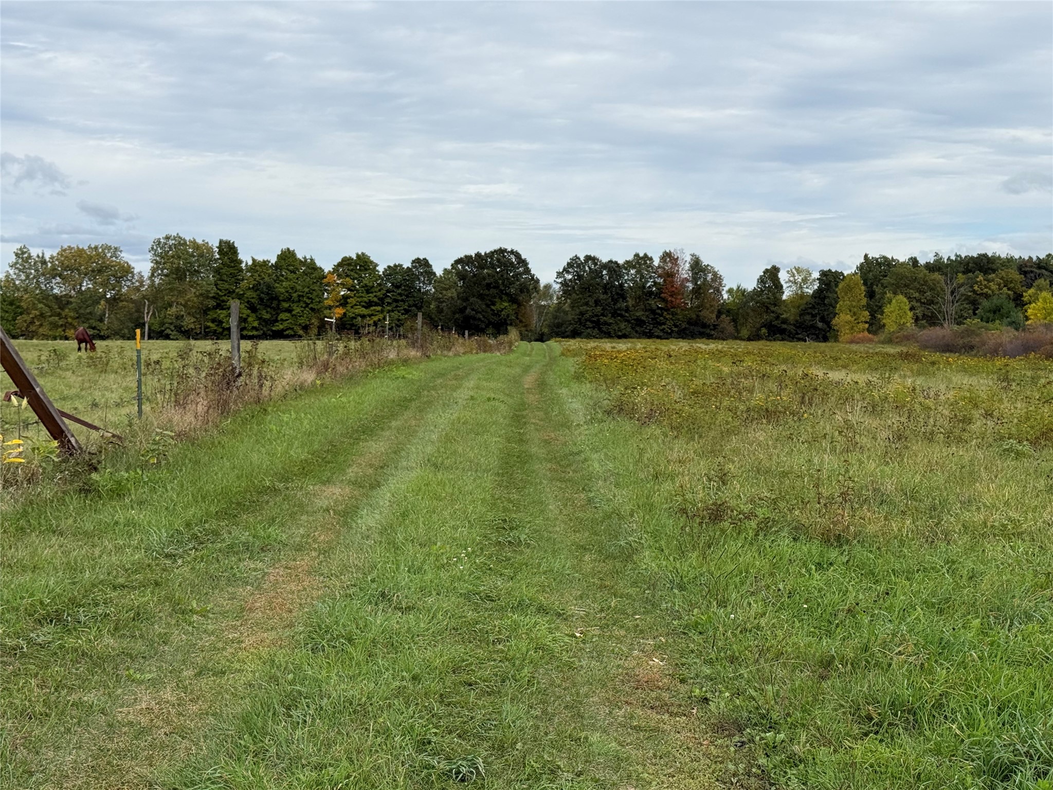 Property Photo #8