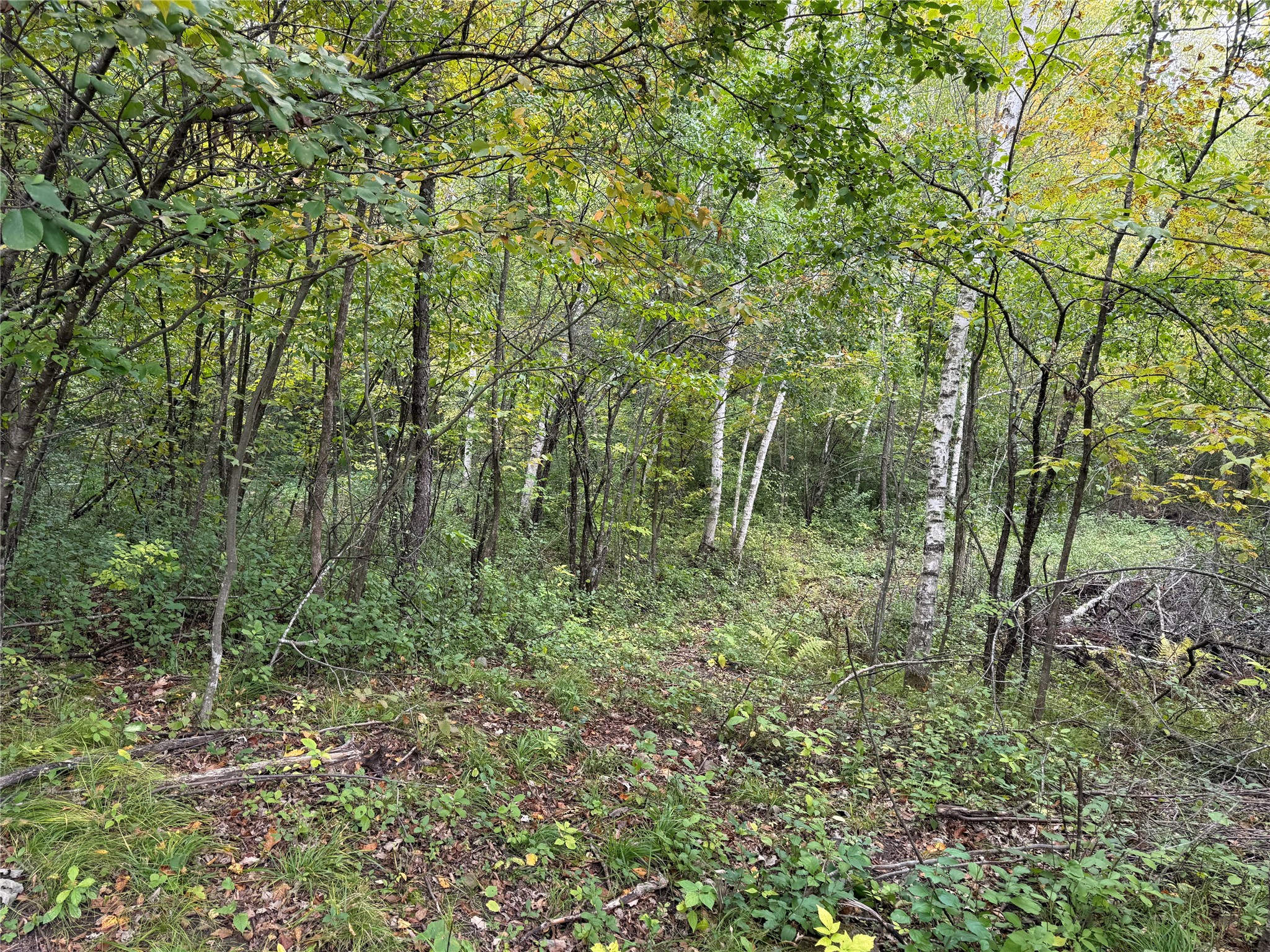 Property Photo #9