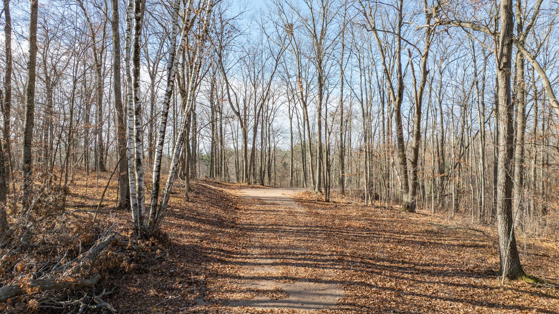 Property Photo #3