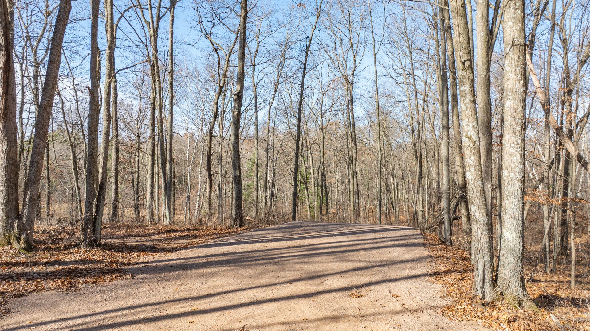 Property Photo #4