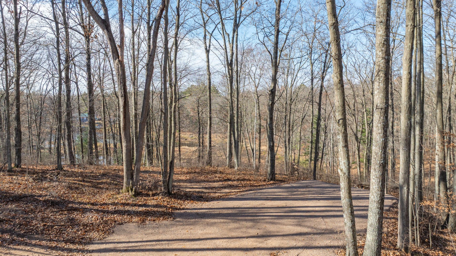 Property Photo #6
