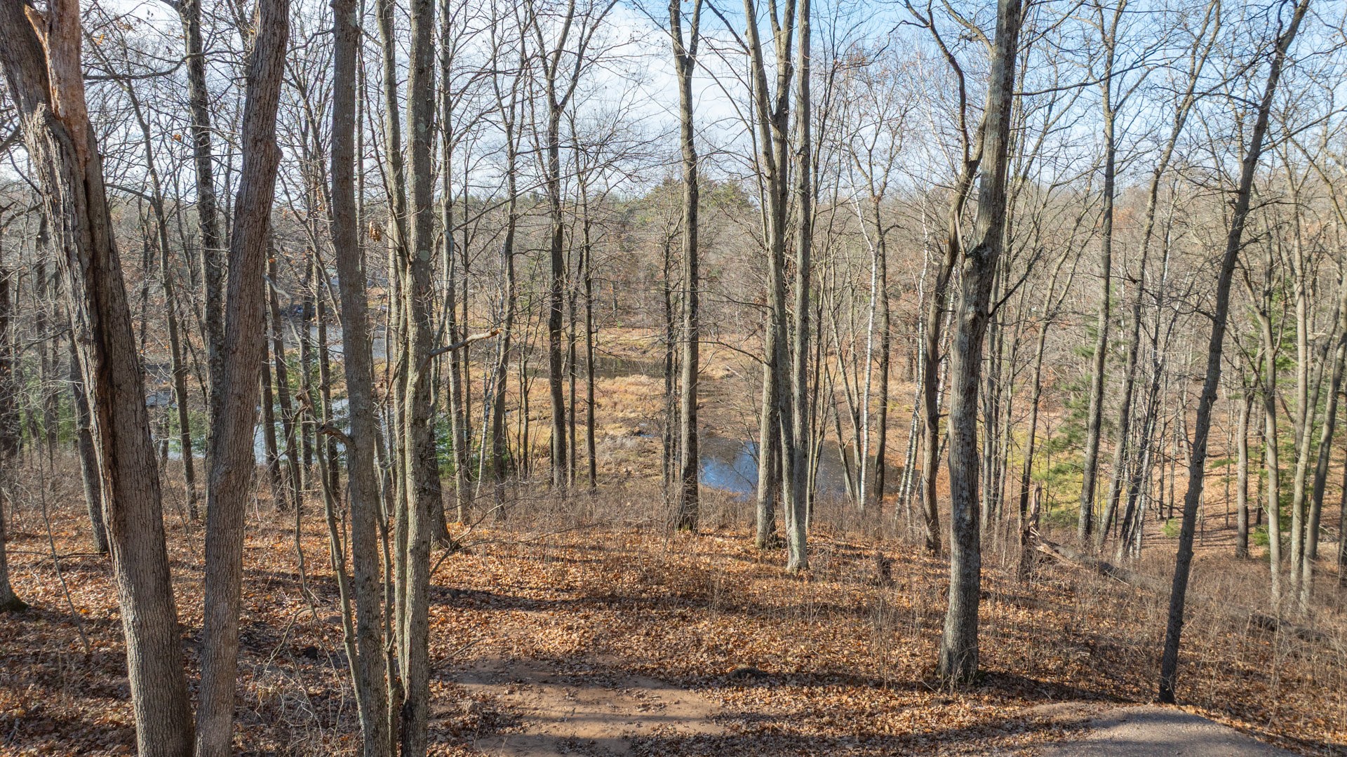 Property Photo #7