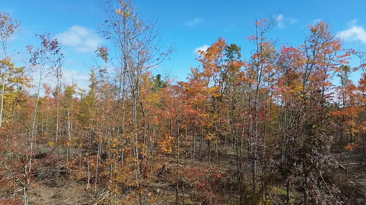 Exeland - Land photo 2 of 16