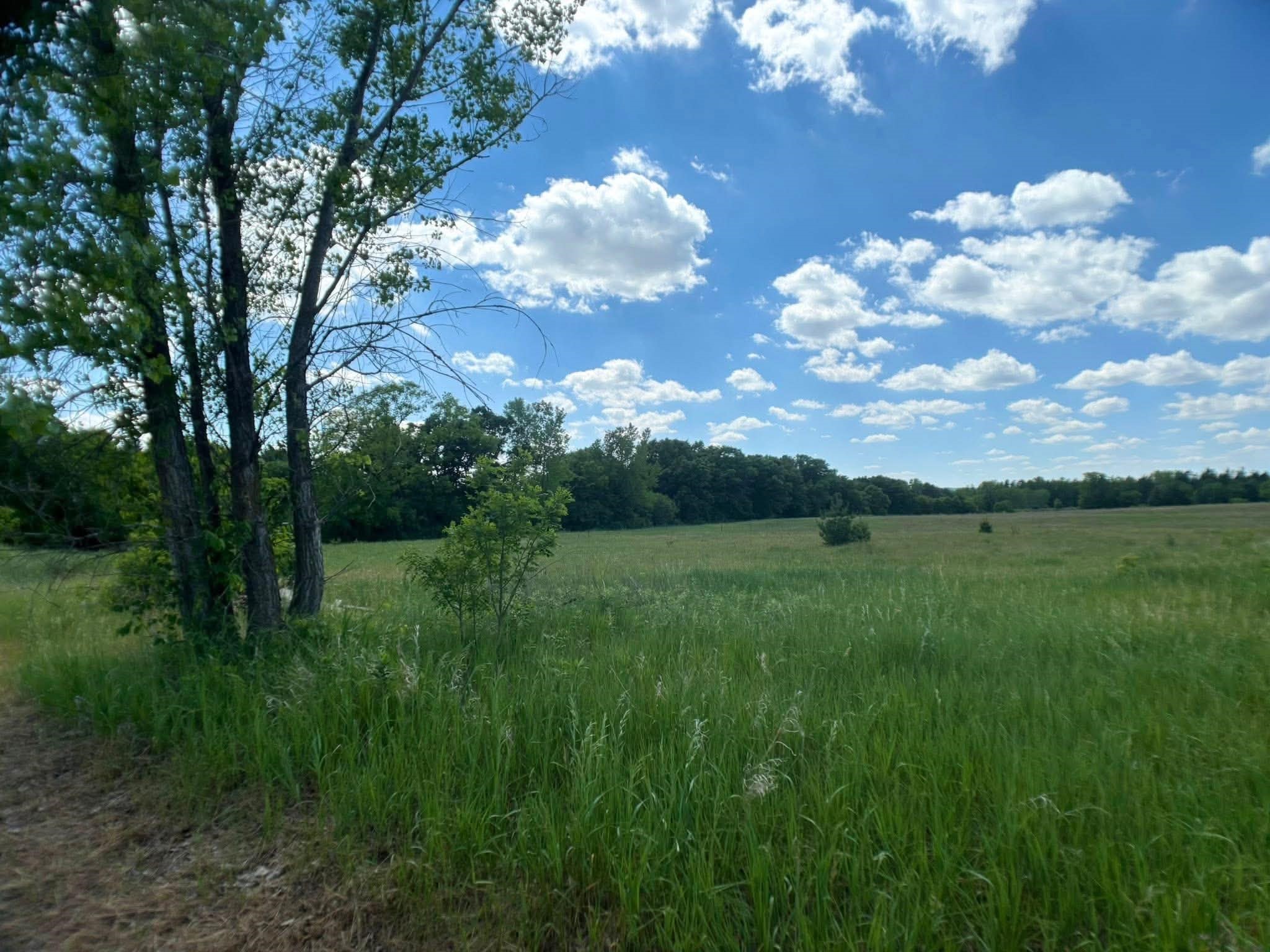 Menomonie - Commercial Sale photo 5 of 31