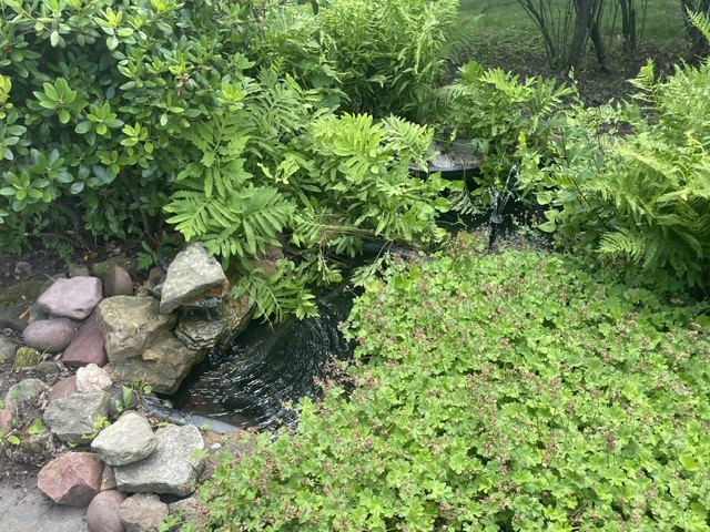 Photo 12
