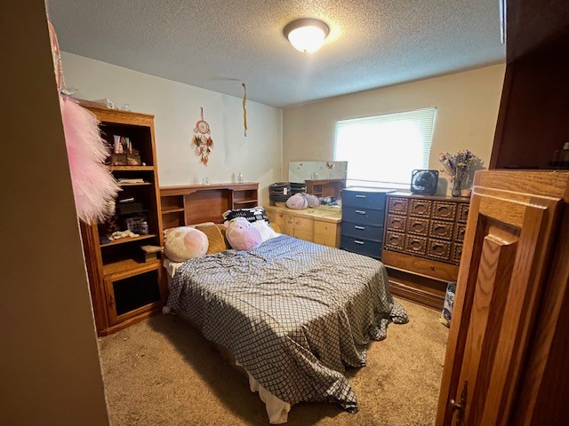 Chippewa Falls - Residential Income photo 4 of 10