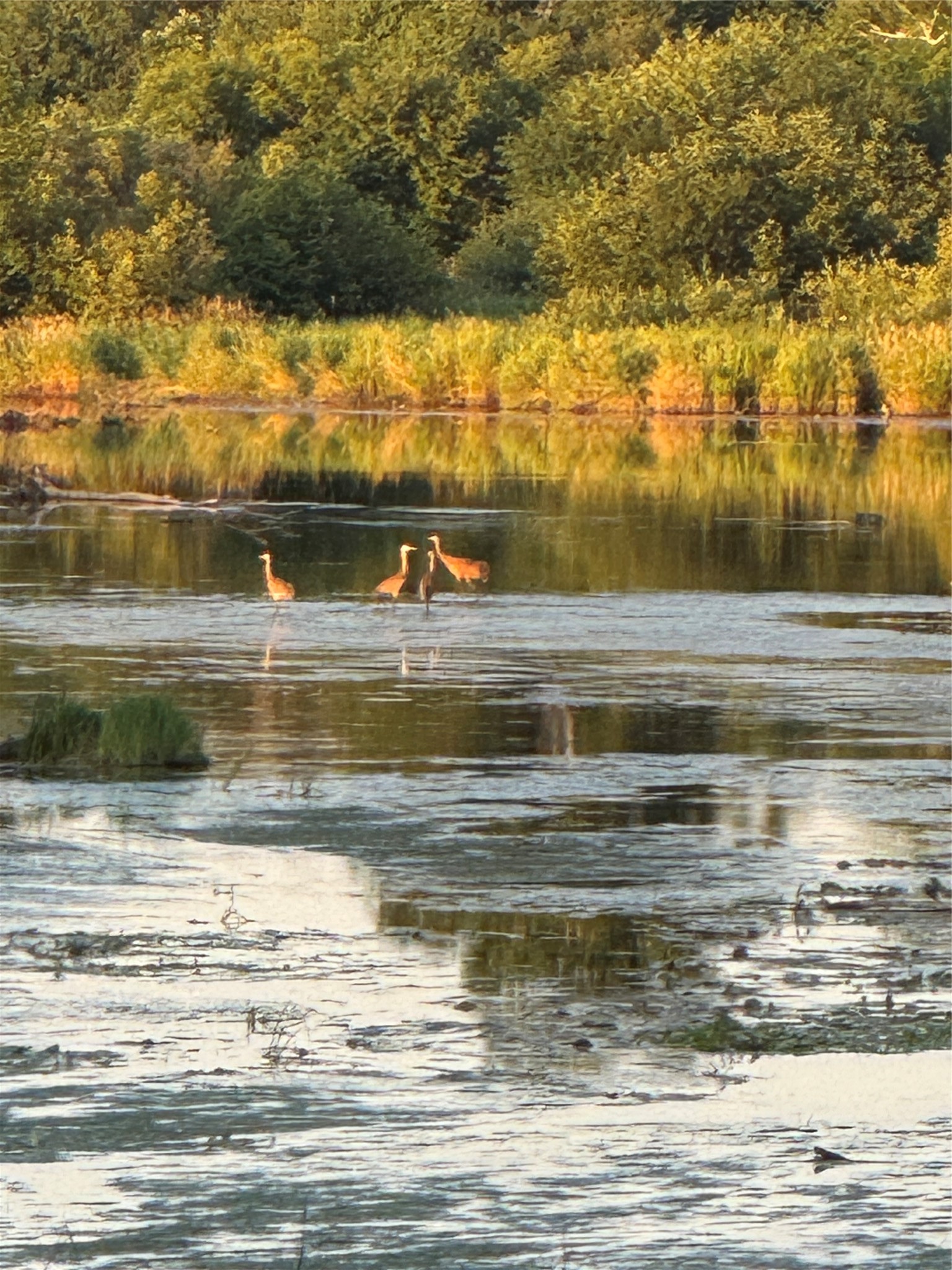 Thumbnail 35
