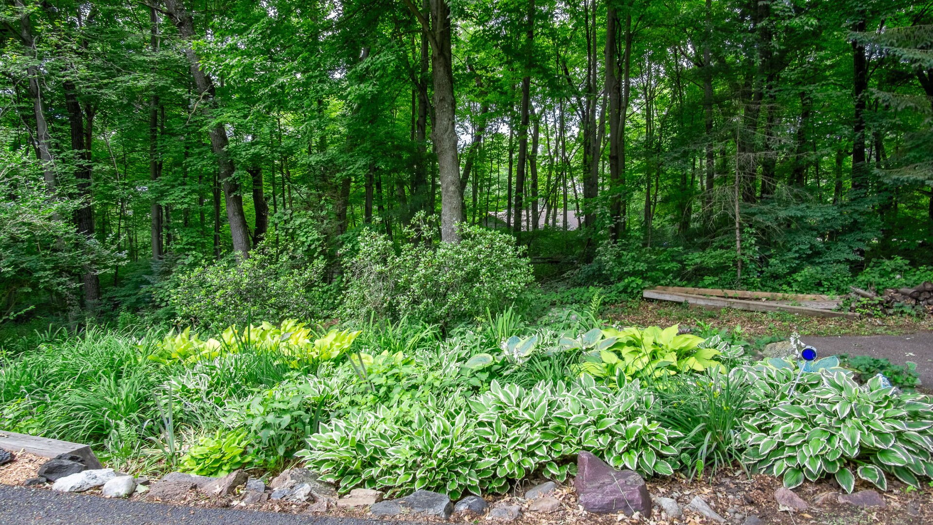 Property Photo #8