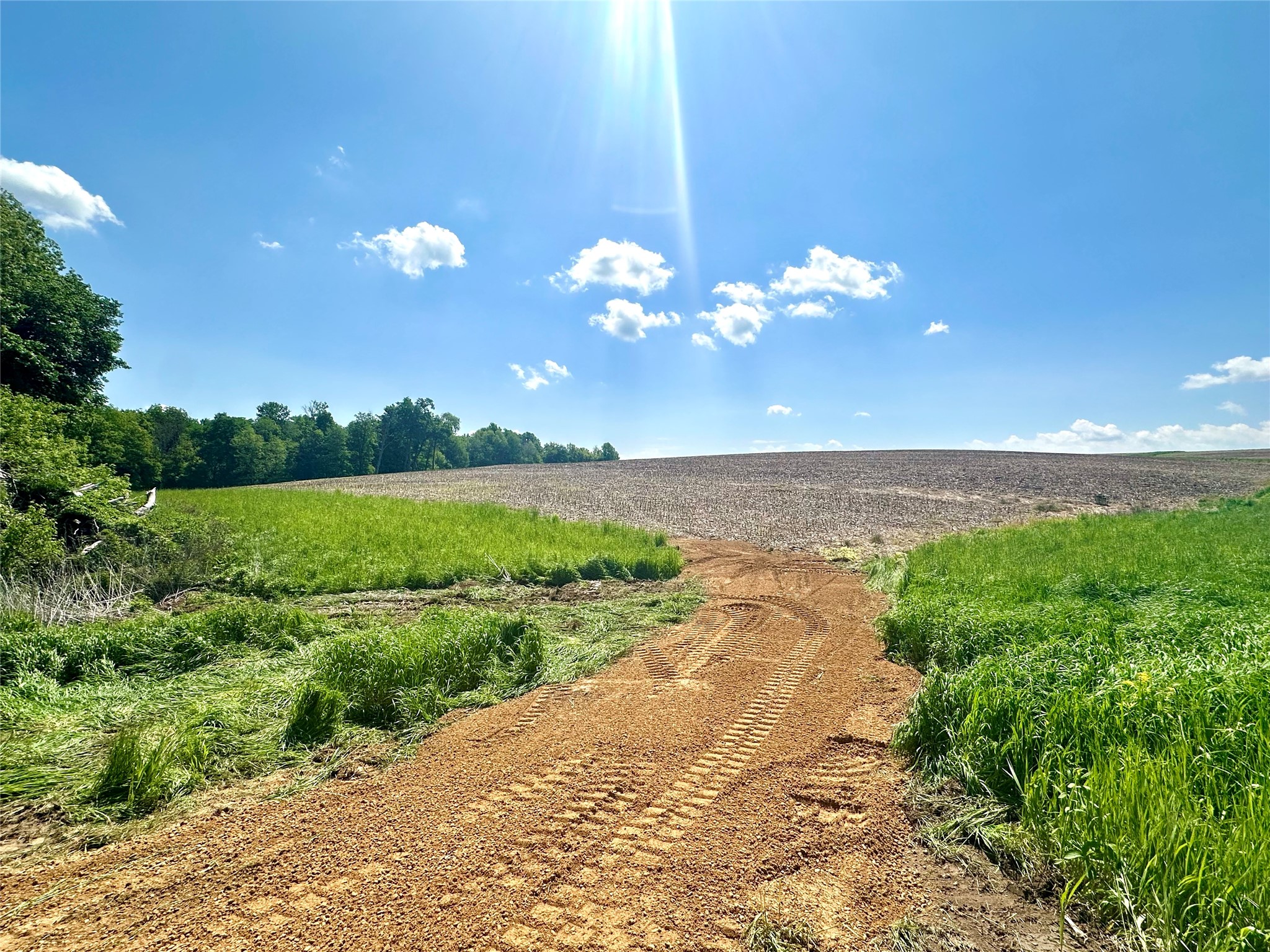 Plum City Land Real Estate