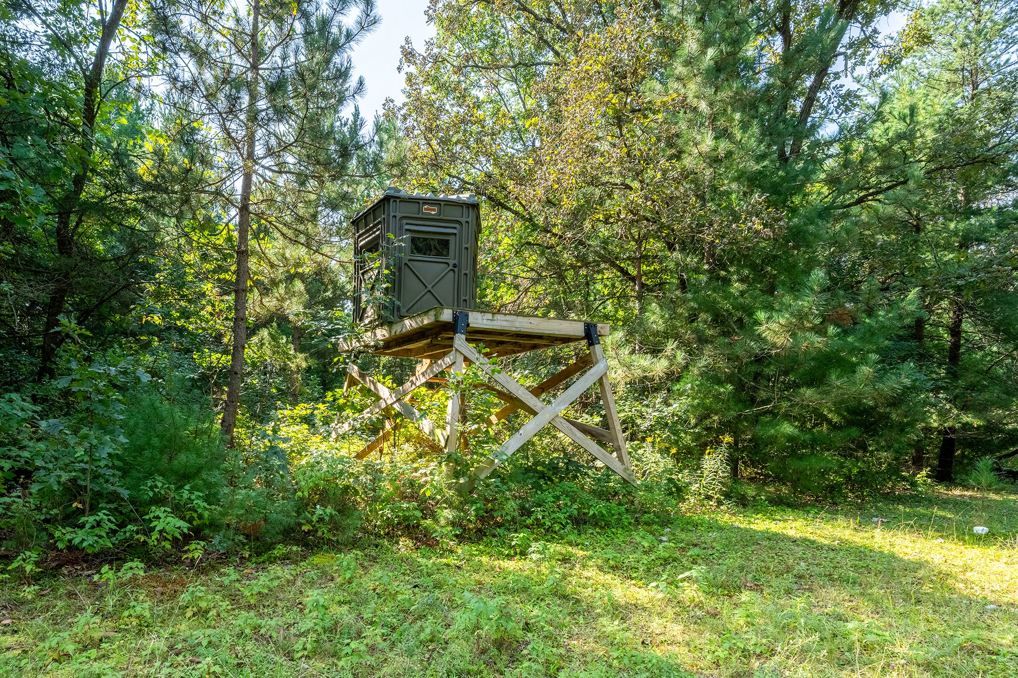 Thumbnail 41