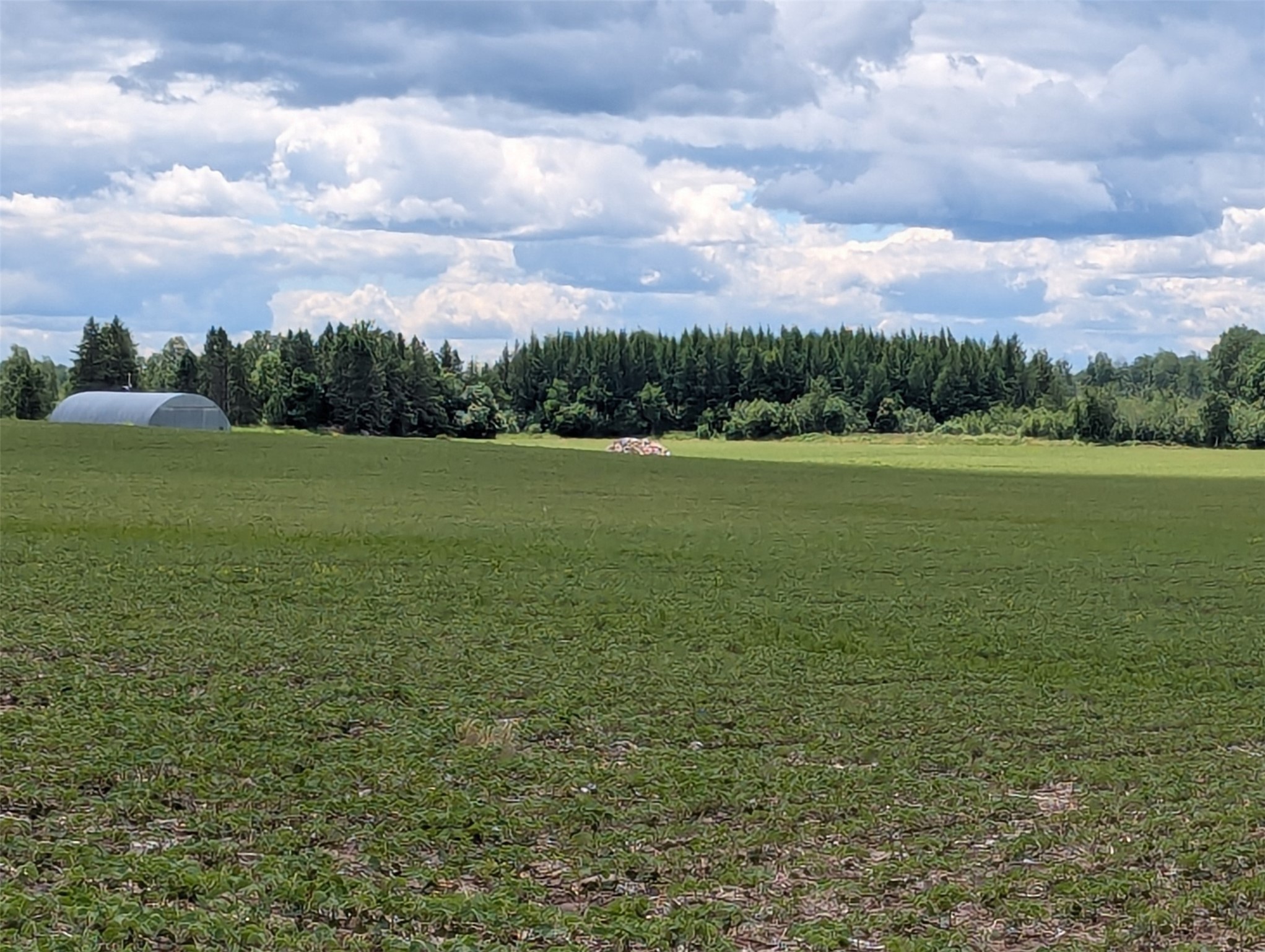 Glen Flora Land Real Estate