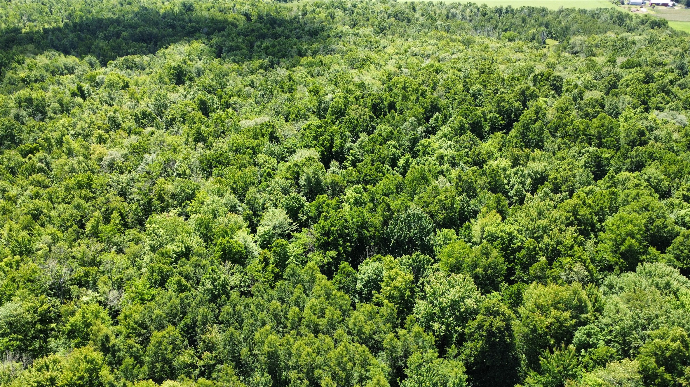 Wausau Land Real Estate