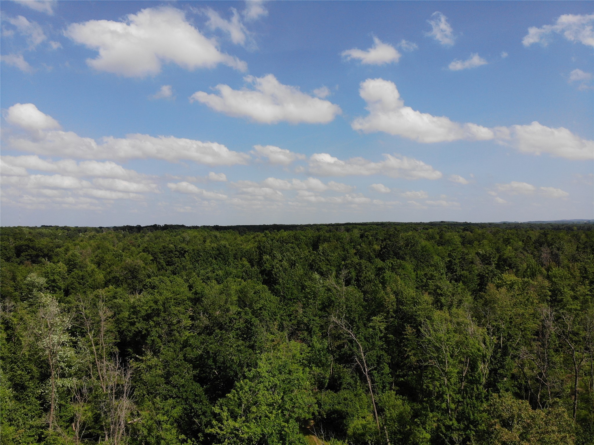 Property Photo #1