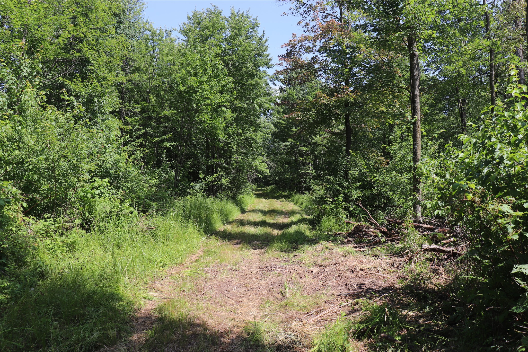 Property Photo #11
