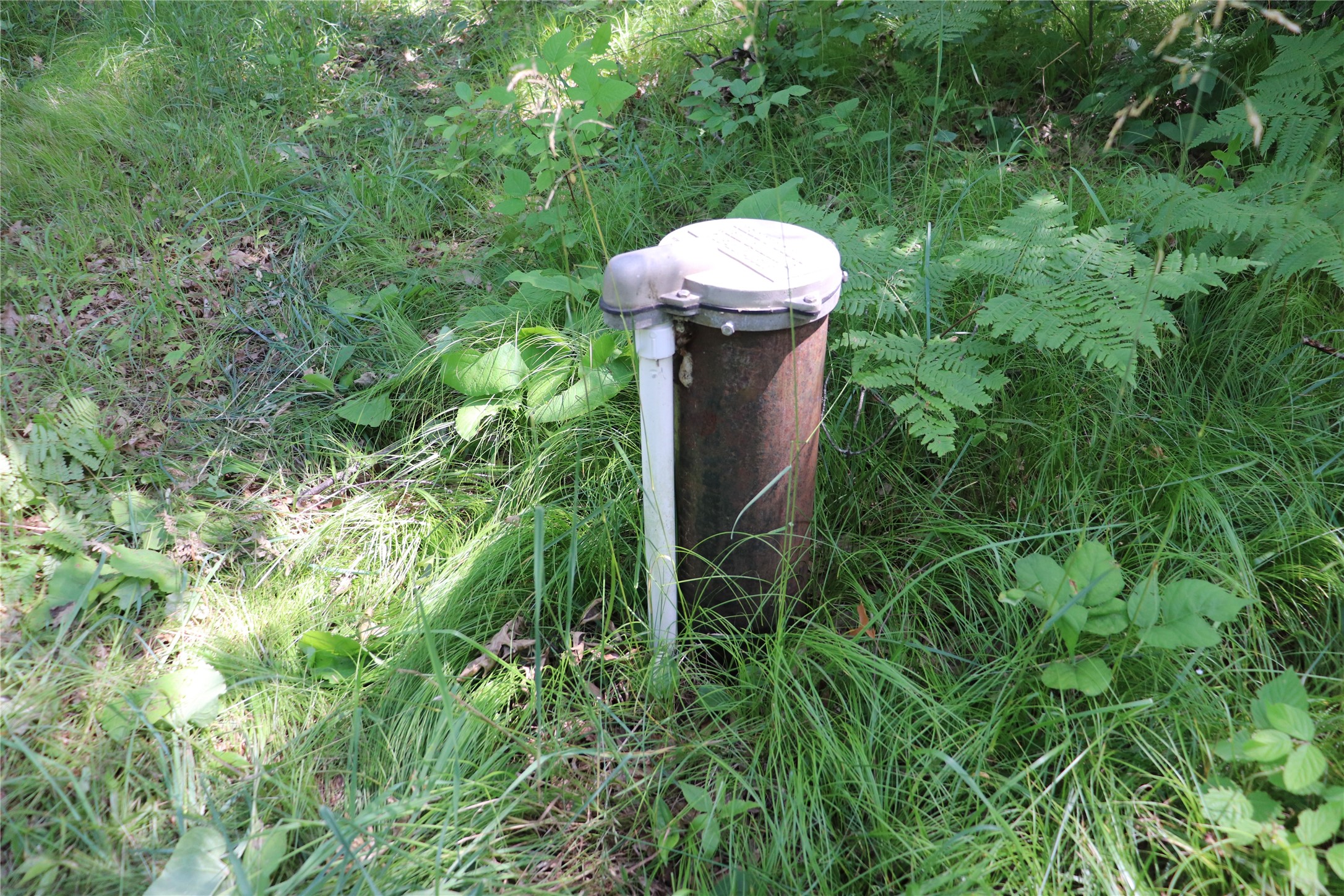 Property Photo #12