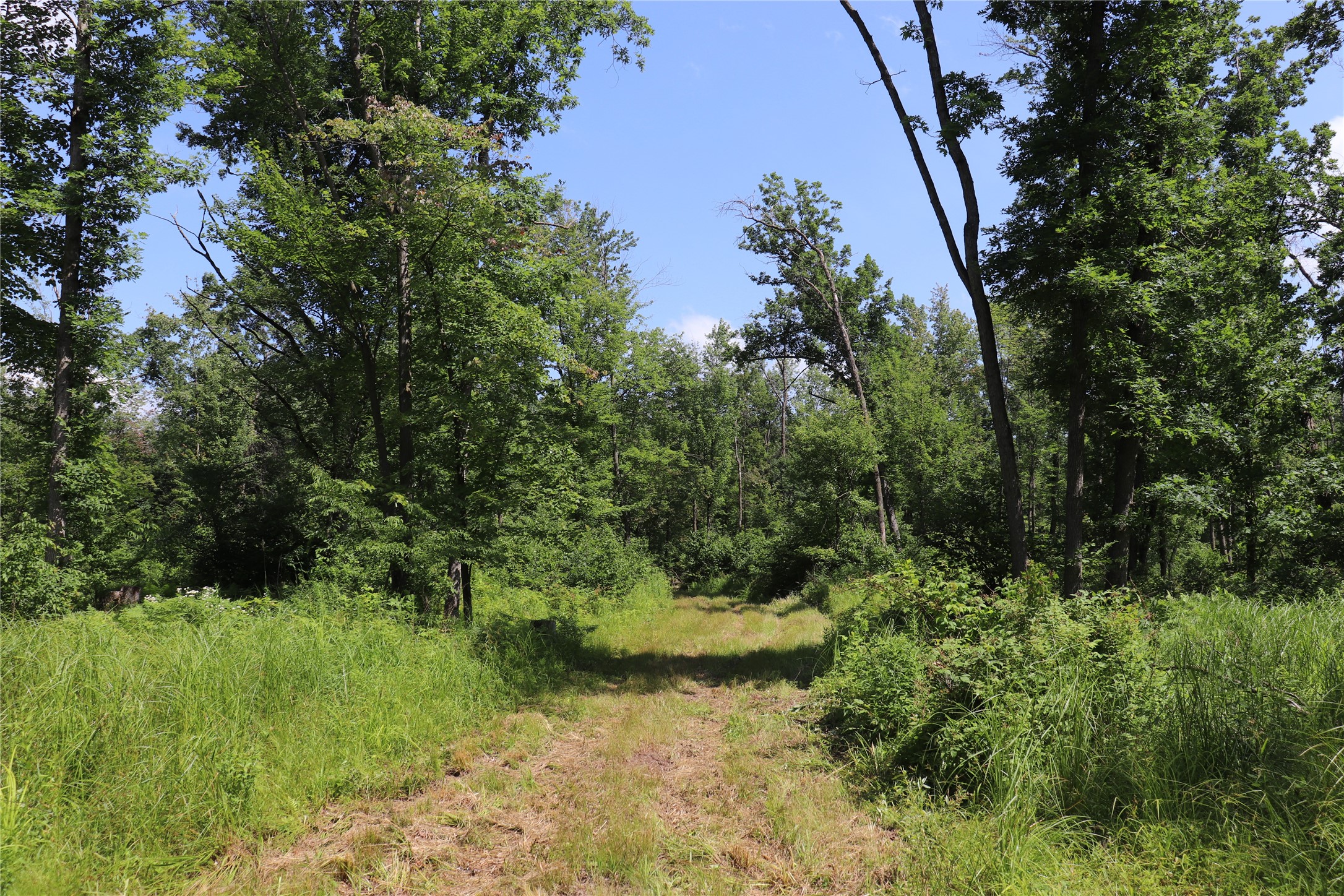 Property Photo #13