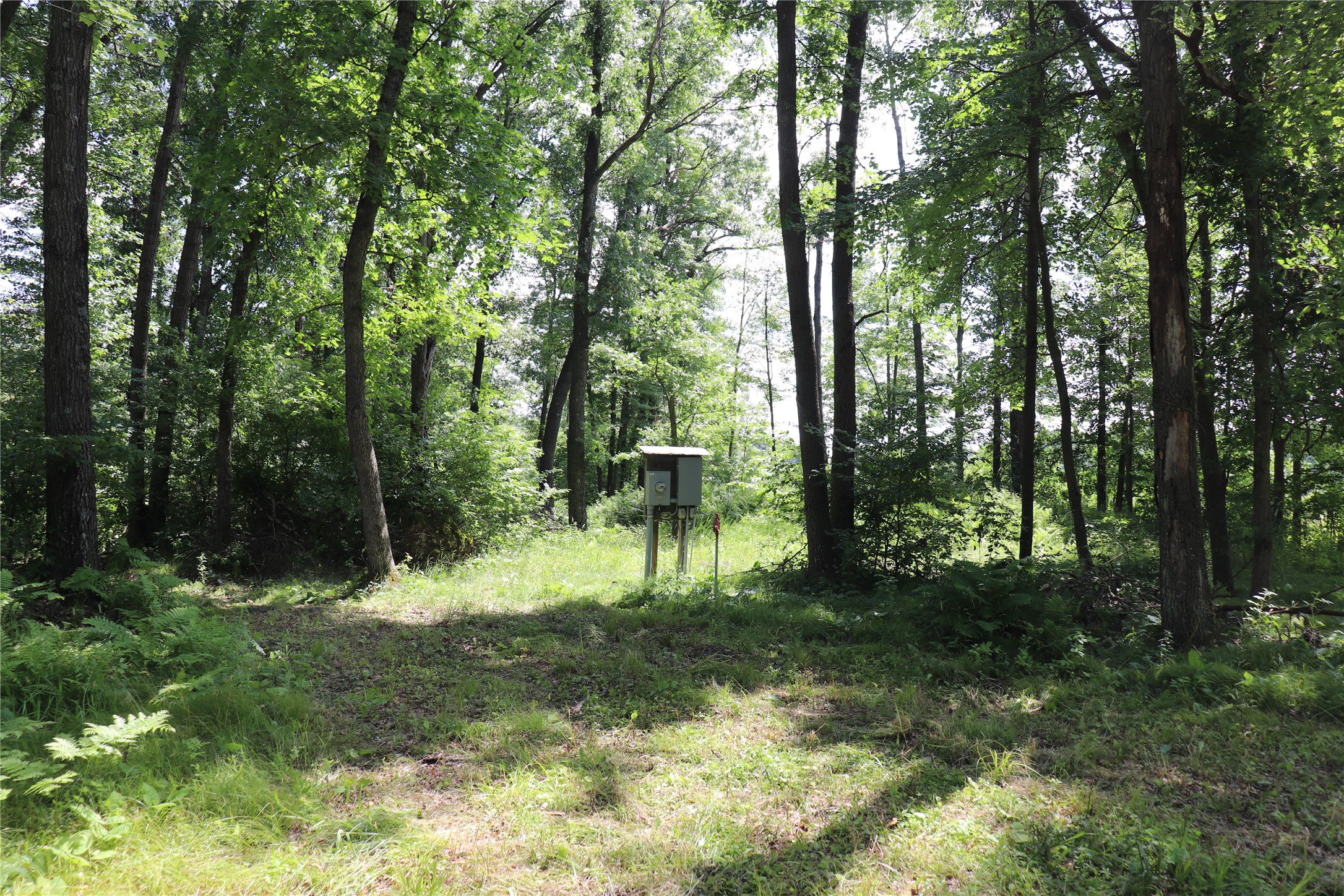 Property Photo #15