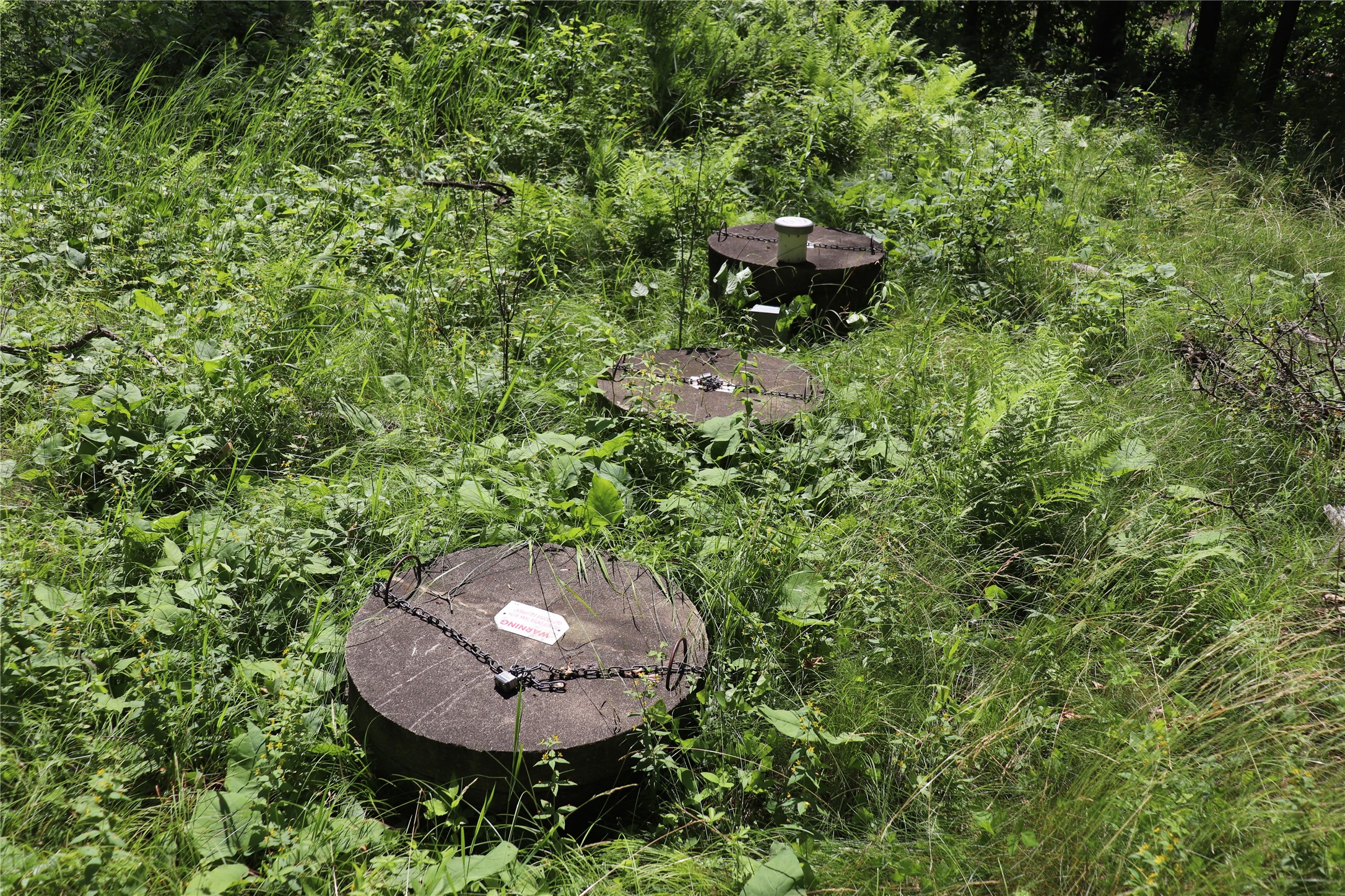 Property Photo #16