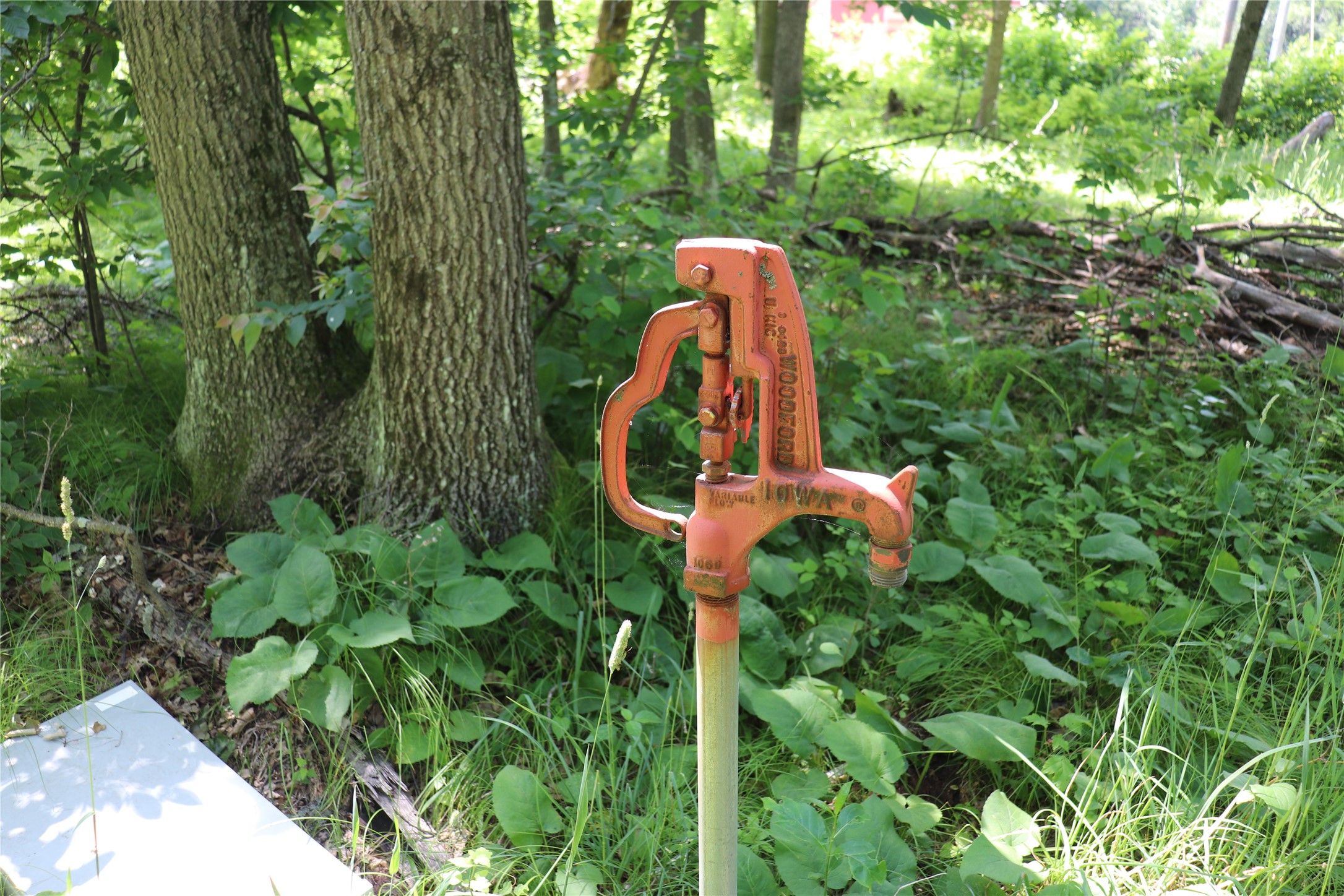 Property Photo #17