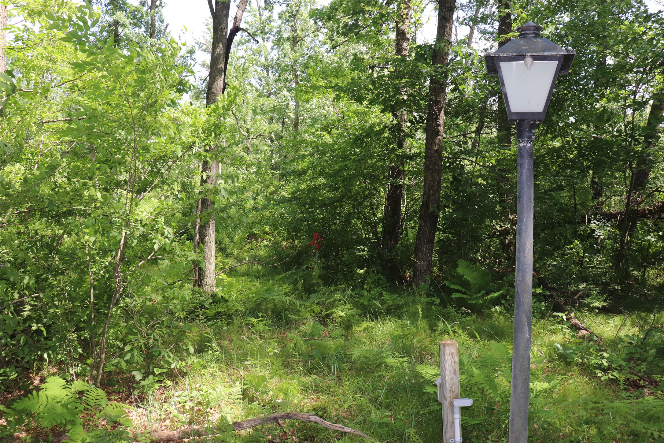Property Photo #20