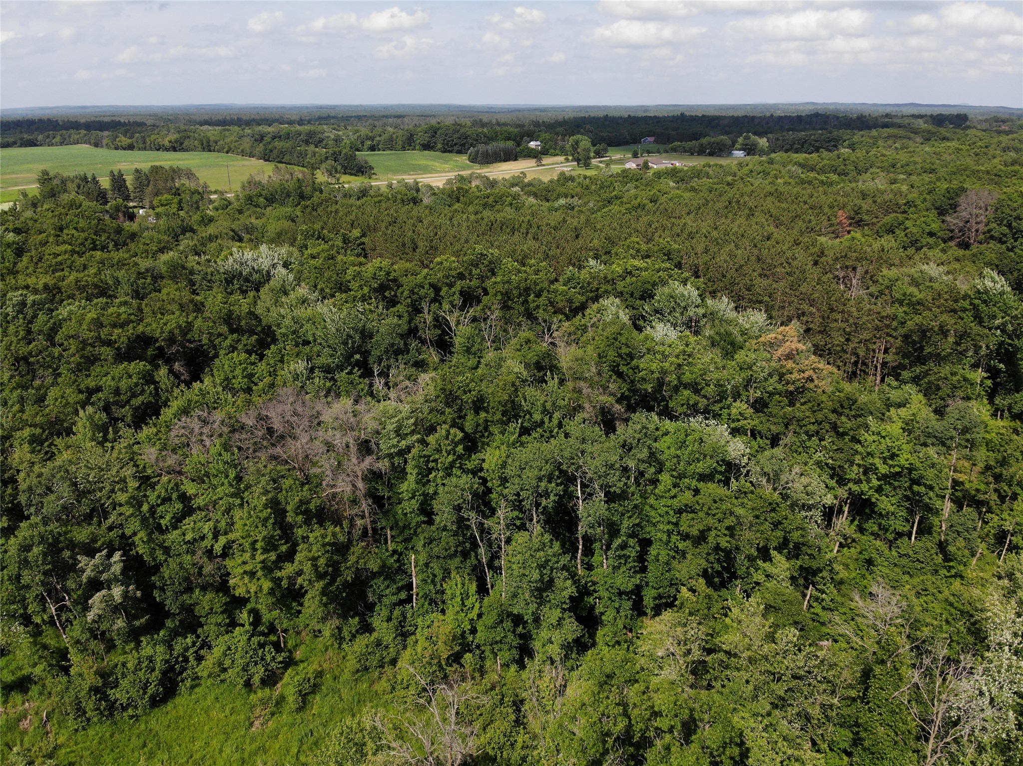 Property Photo #22