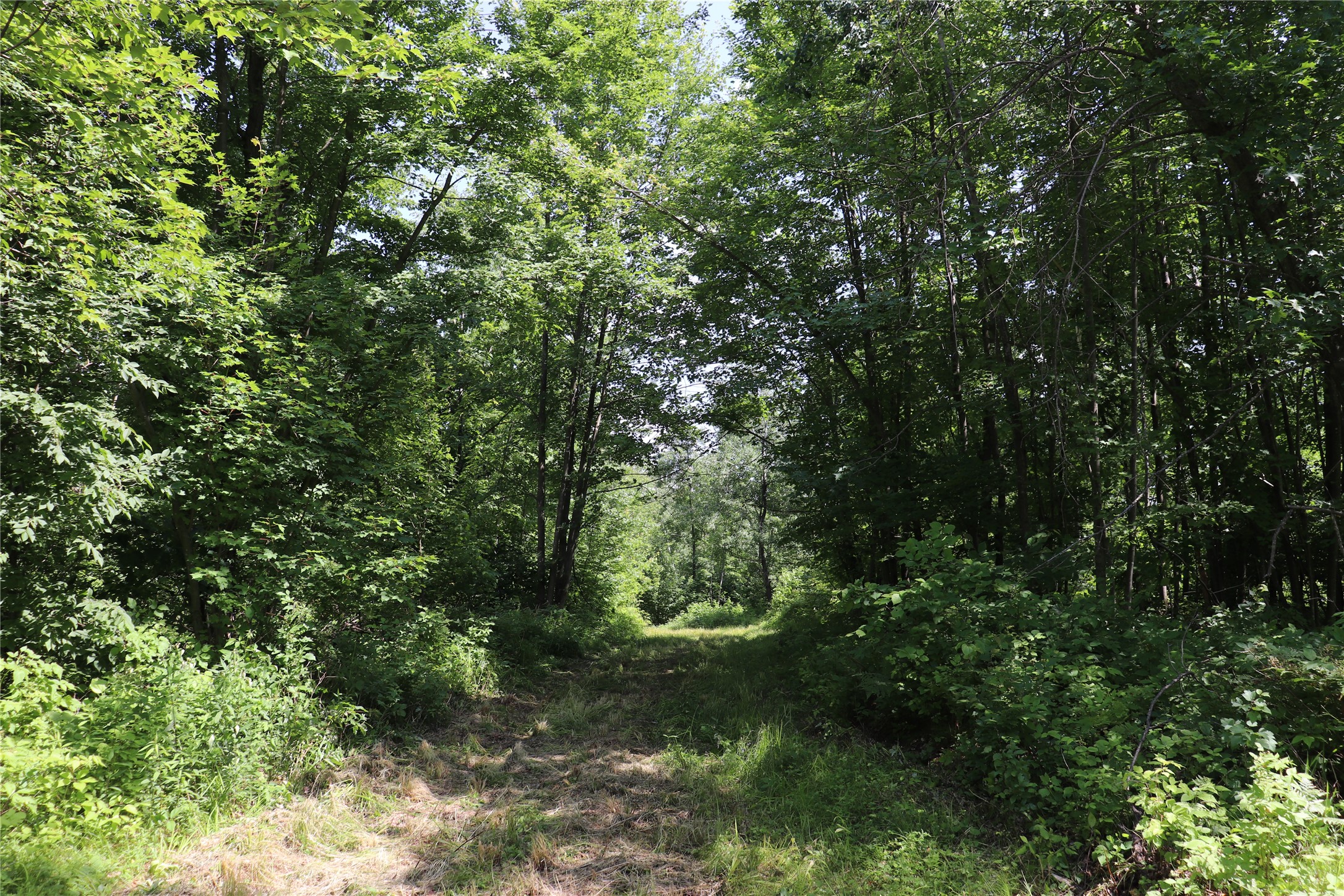 Property Photo #24