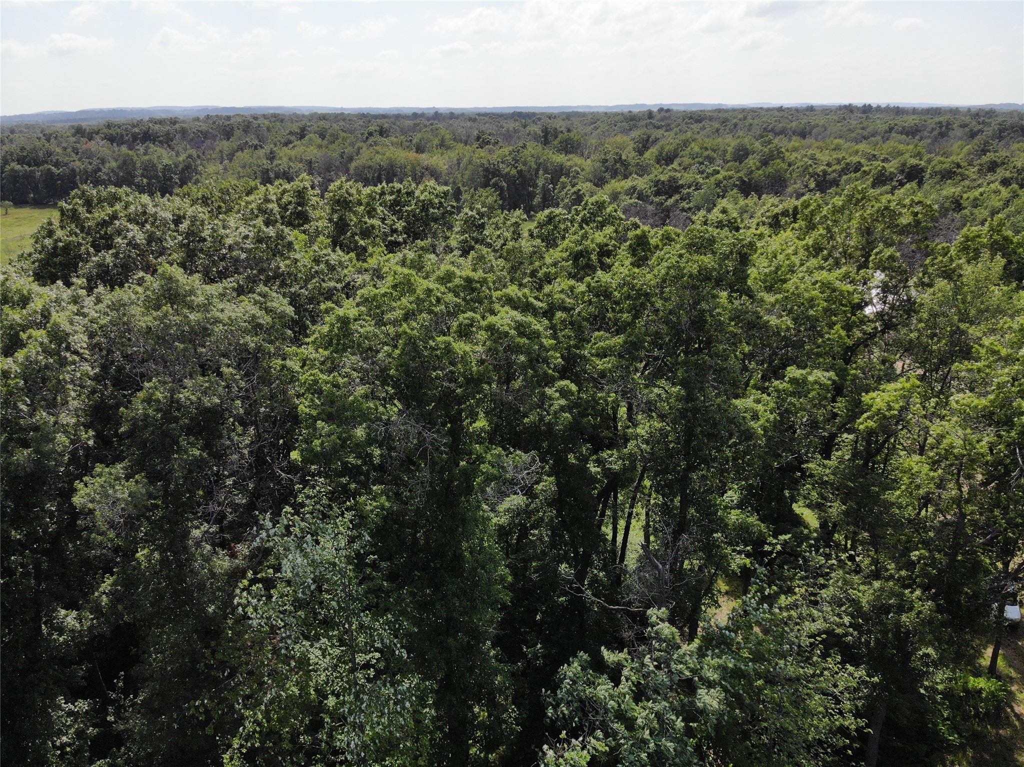 Property Photo #25