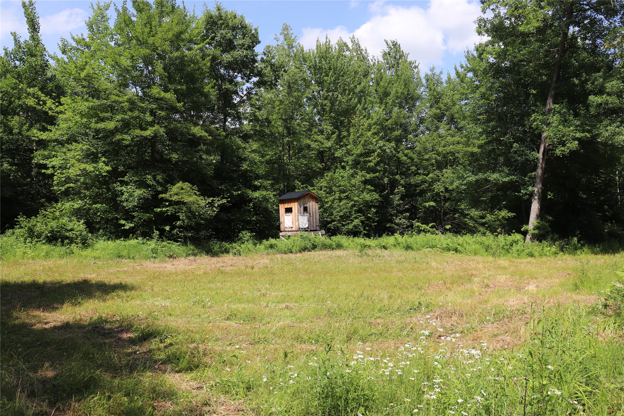Property Photo #3