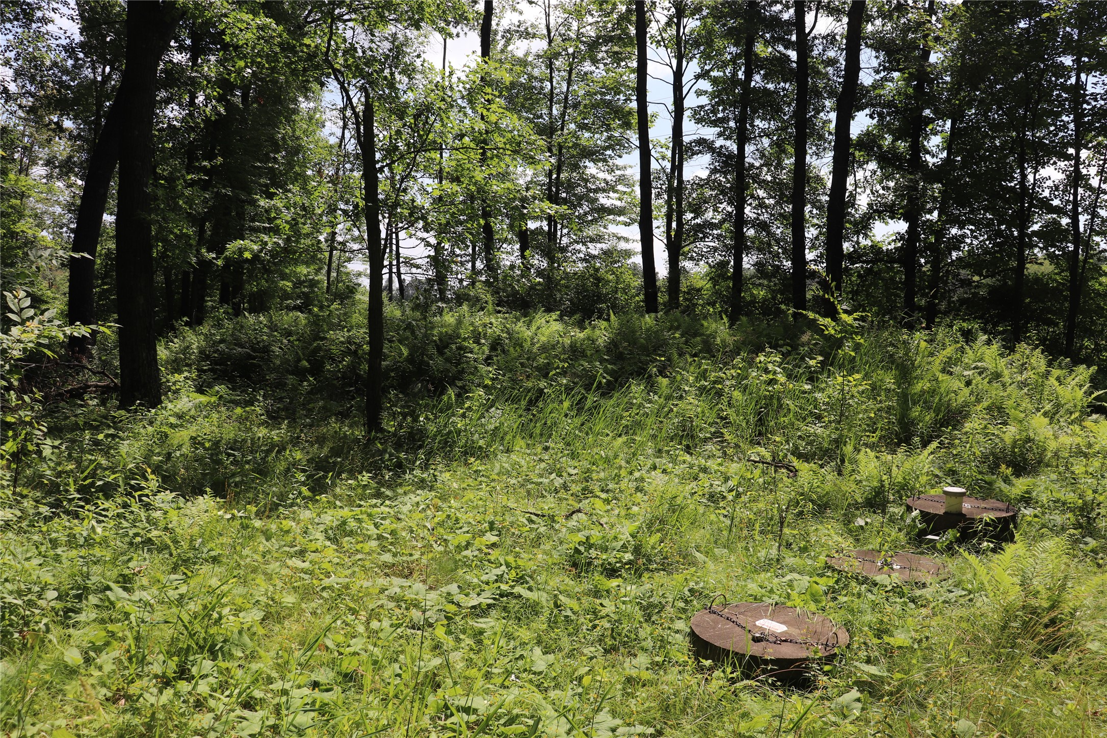 Property Photo #31