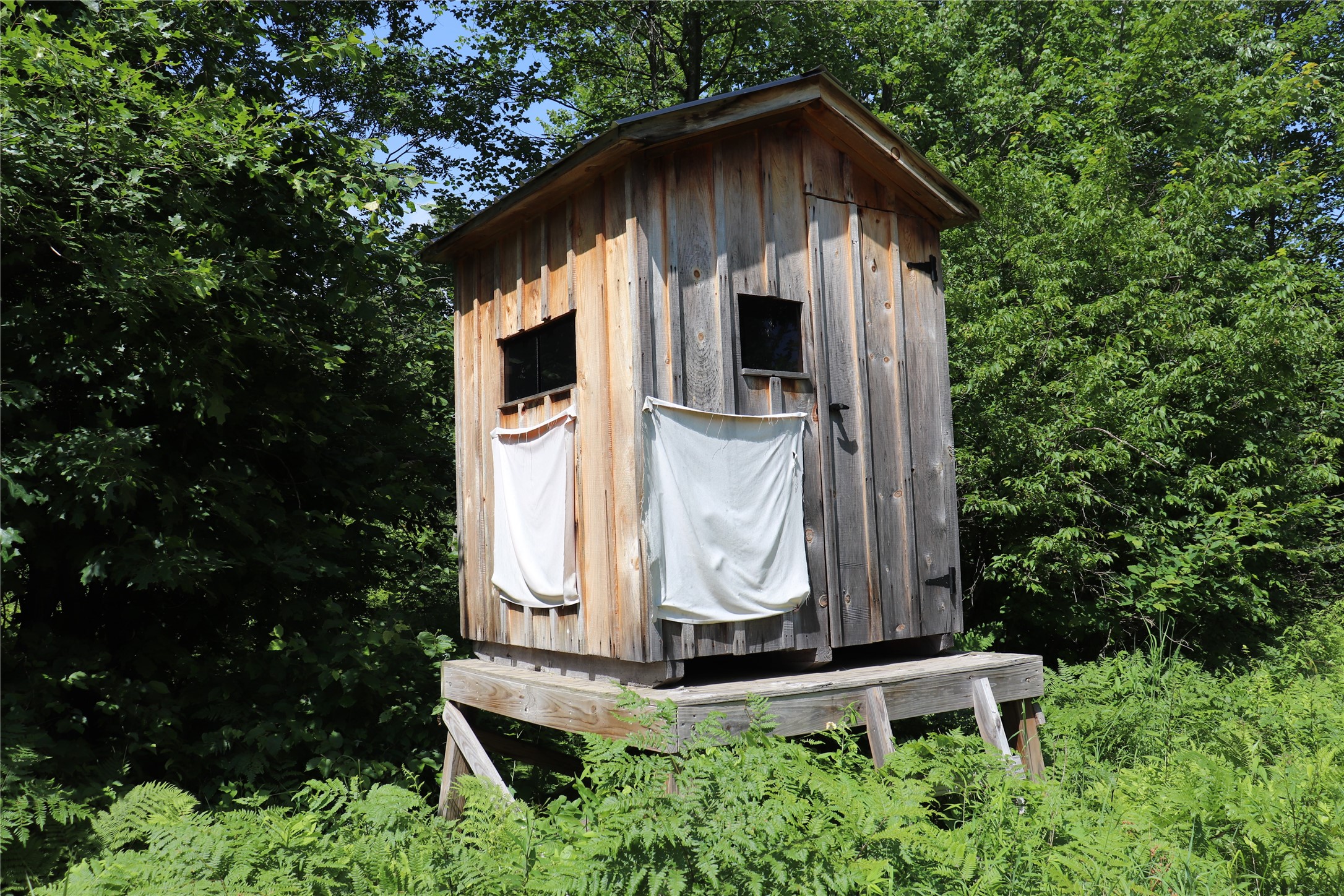 Property Photo #33