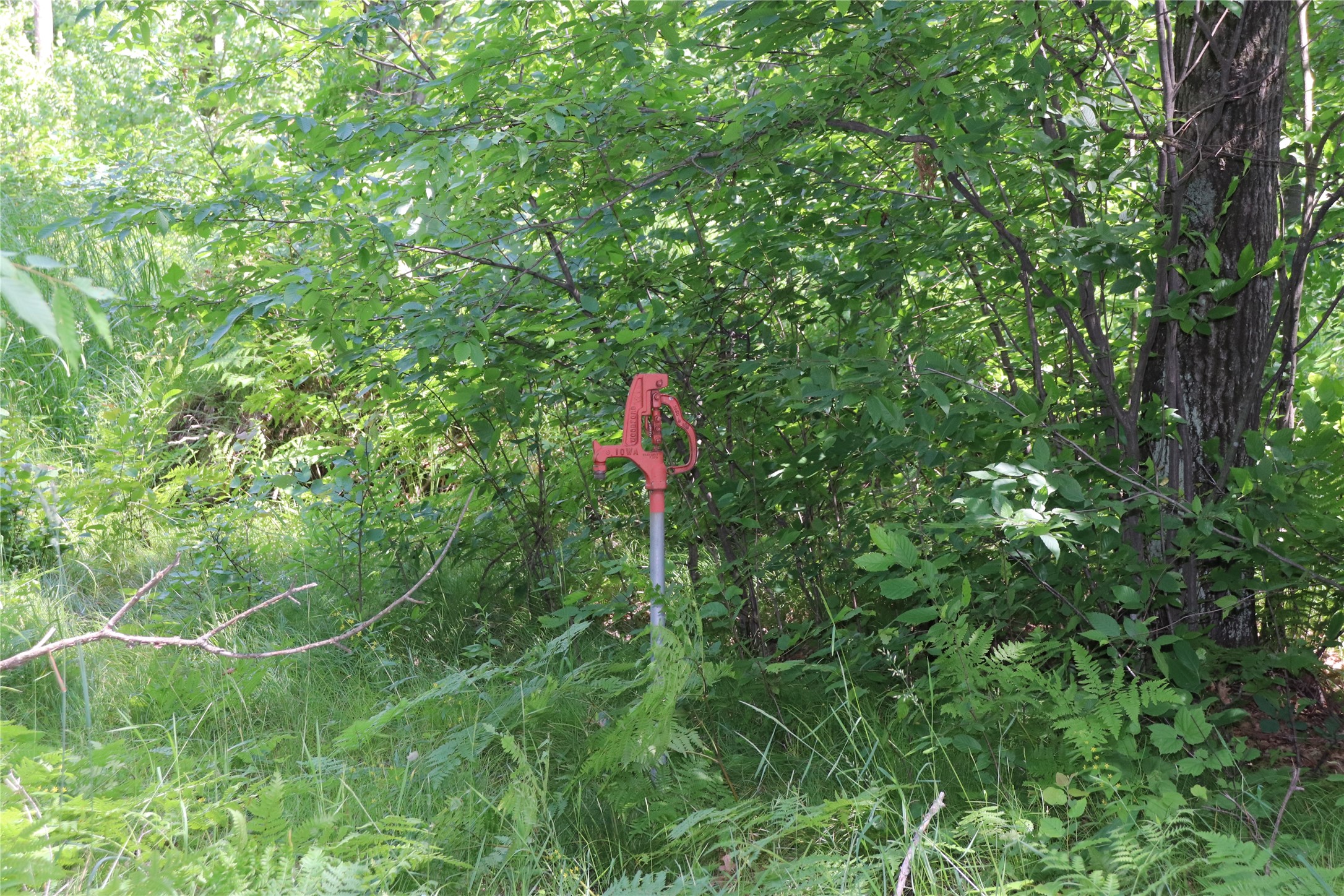 Property Photo #34