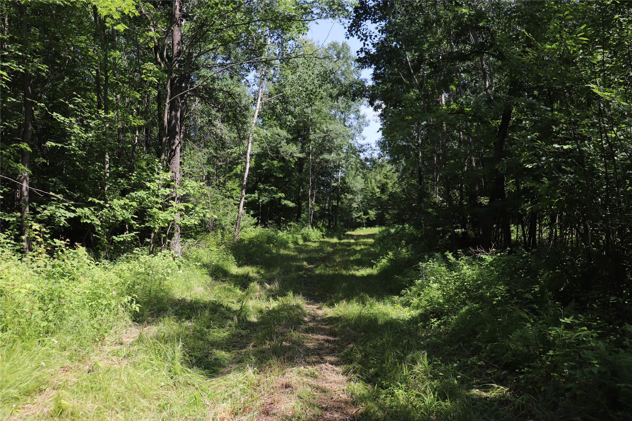 Property Photo #4