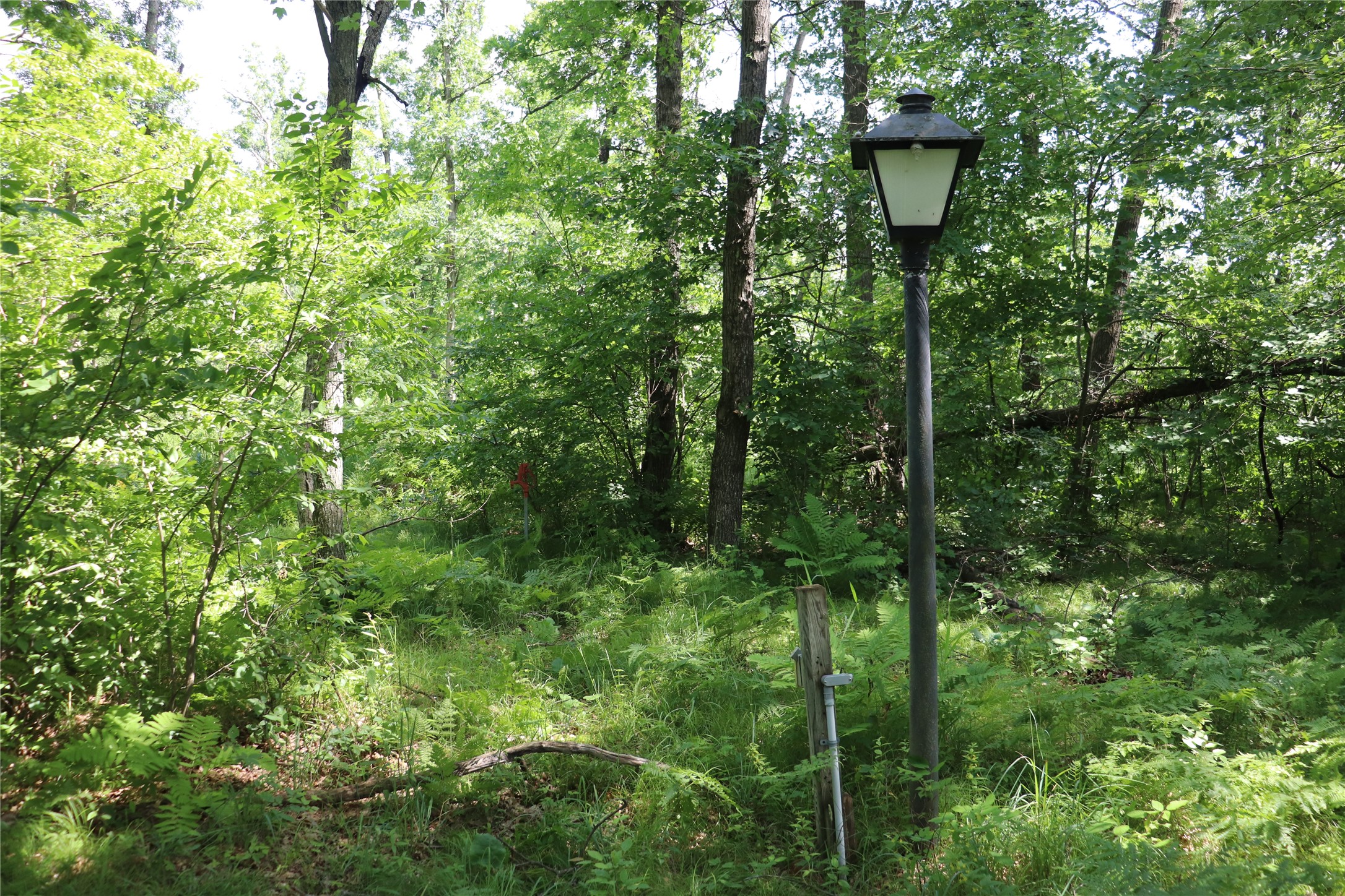 Property Photo #42