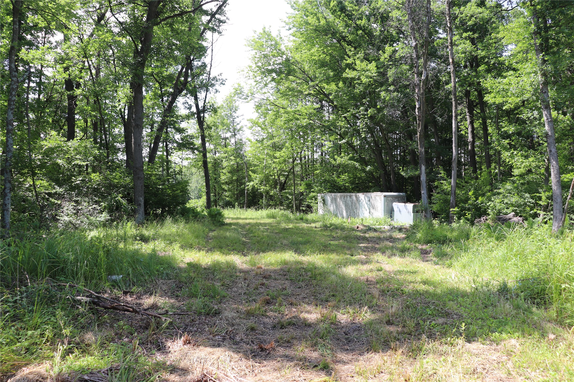 Property Photo #45