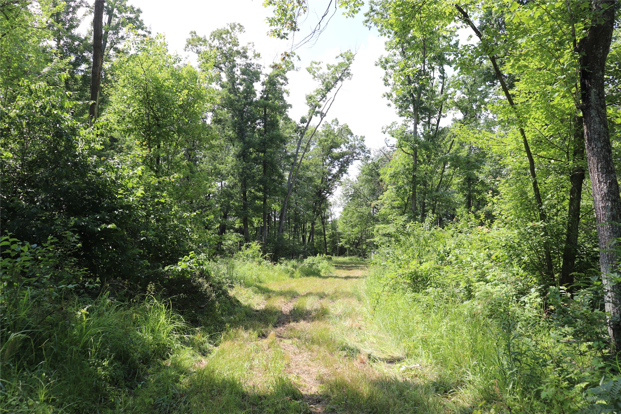 Property Photo #46