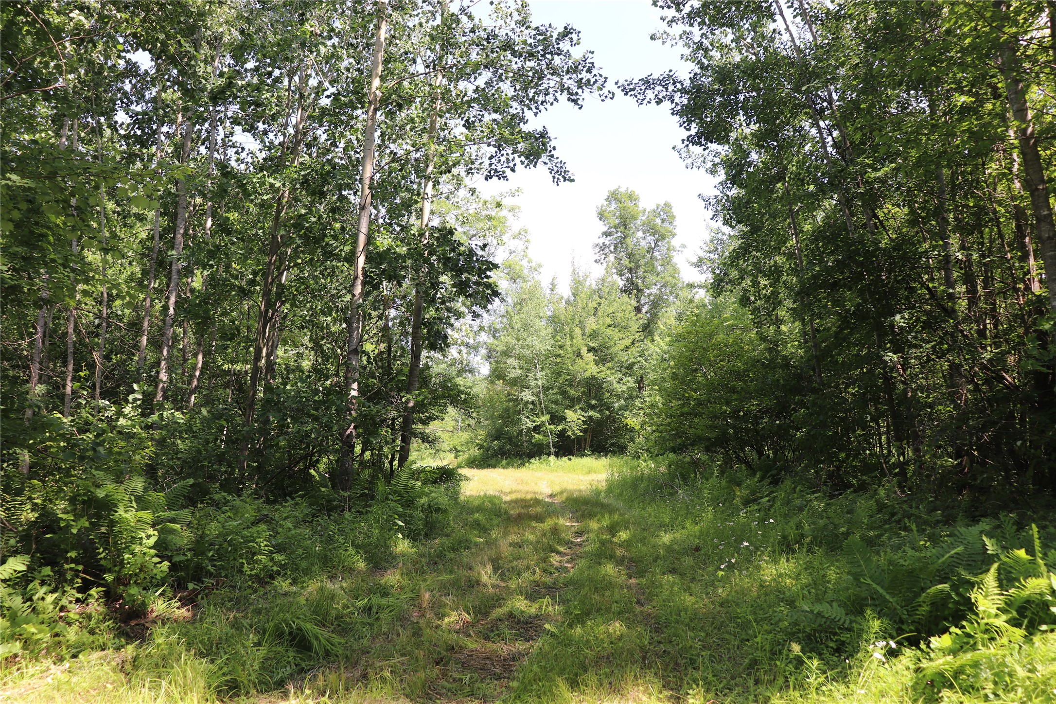 Property Photo #47