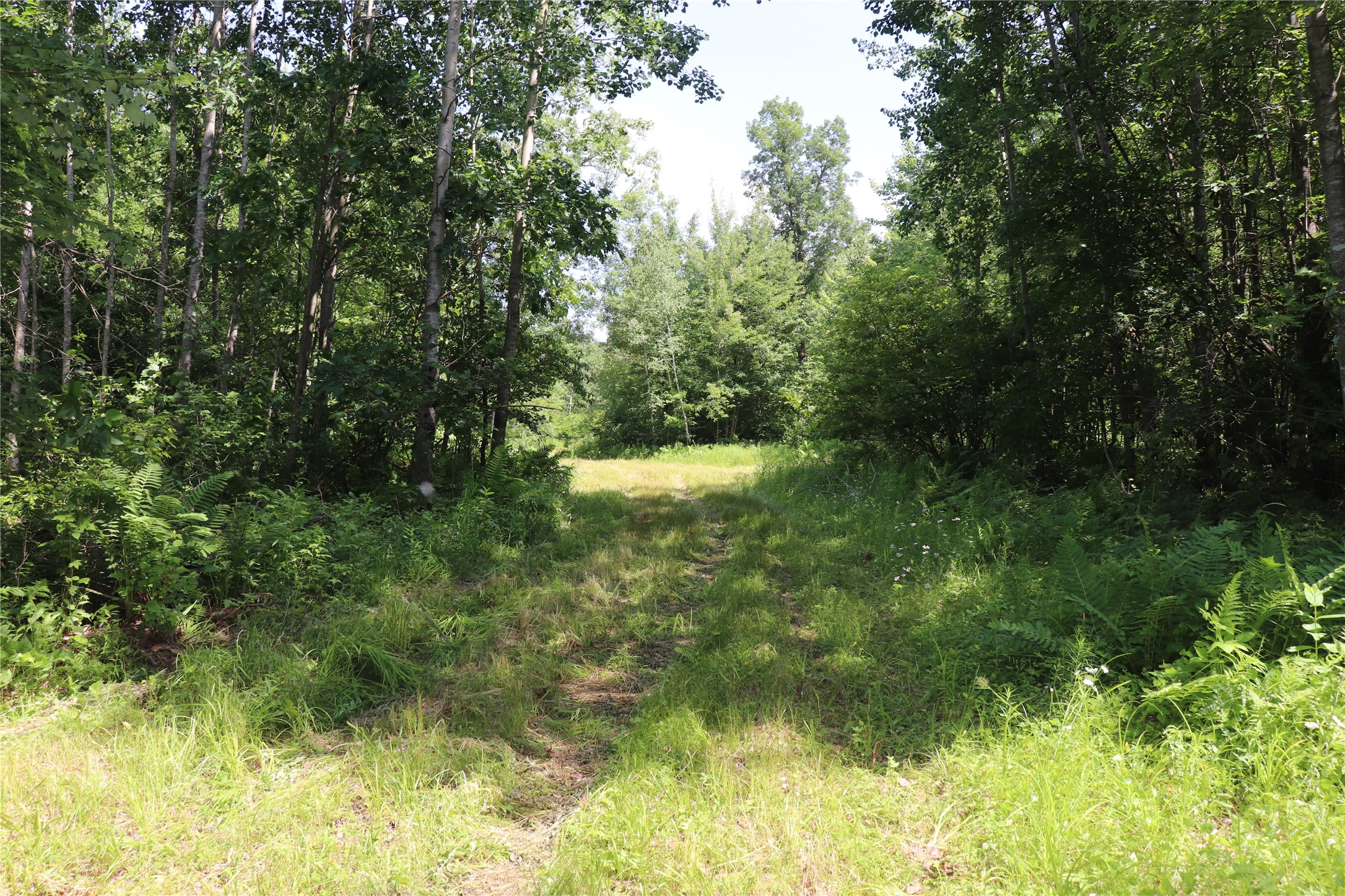 Property Photo #48