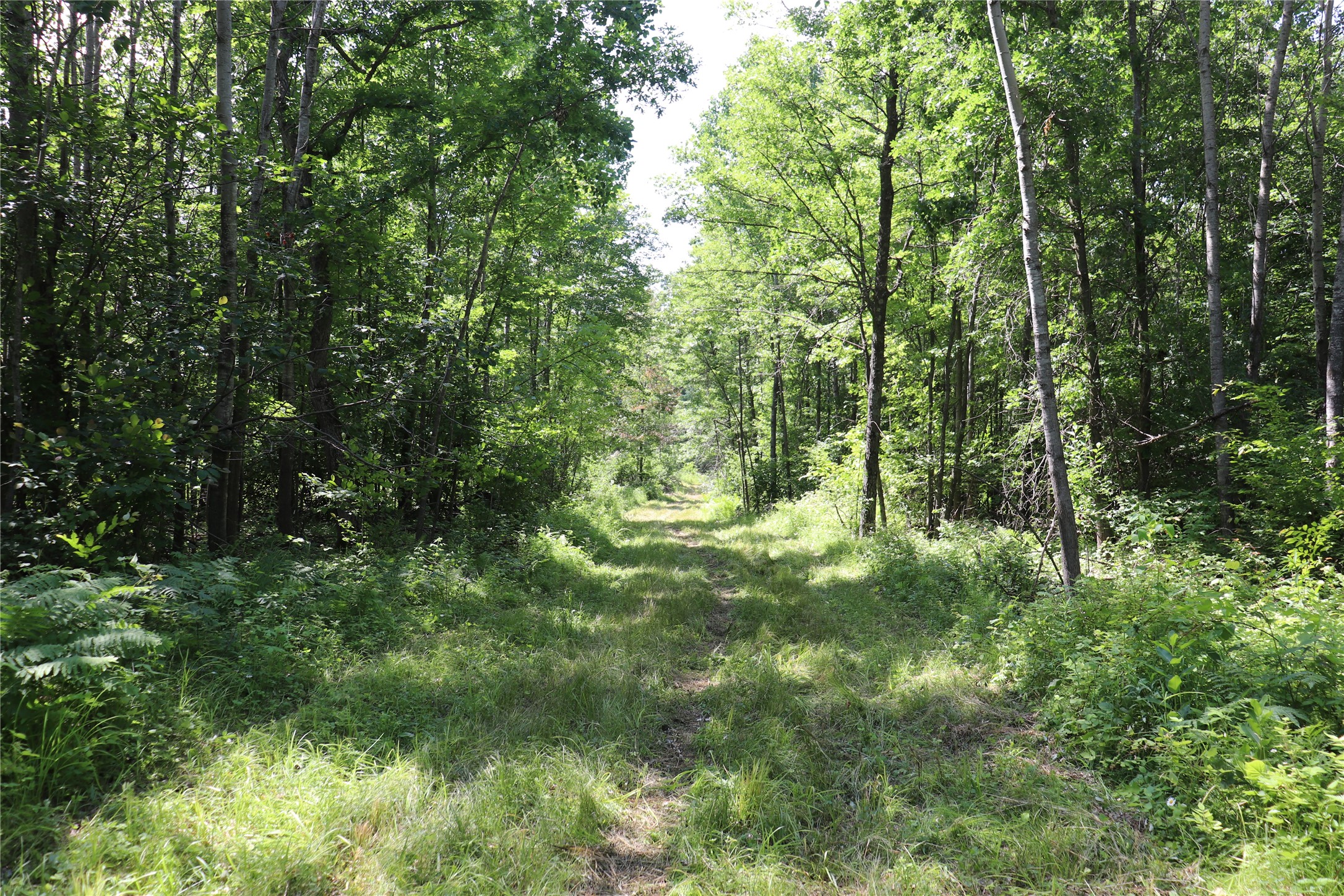 Property Photo #49