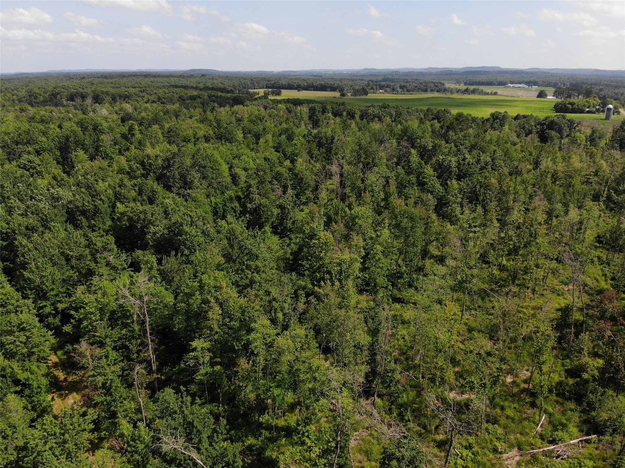 Property Photo #5
