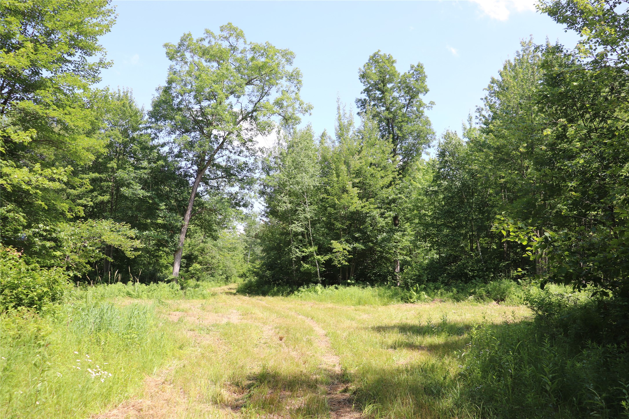 Property Photo #50