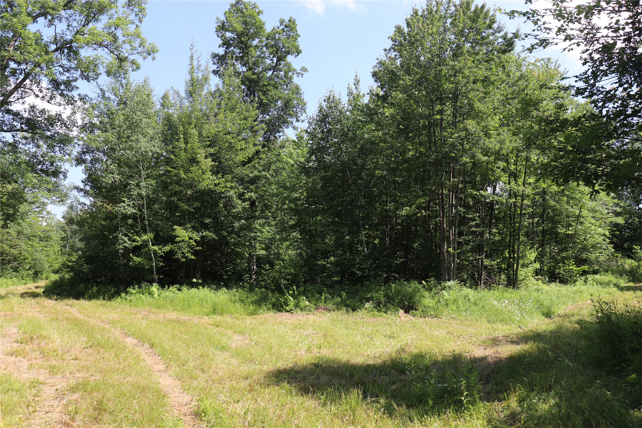Property Photo #52