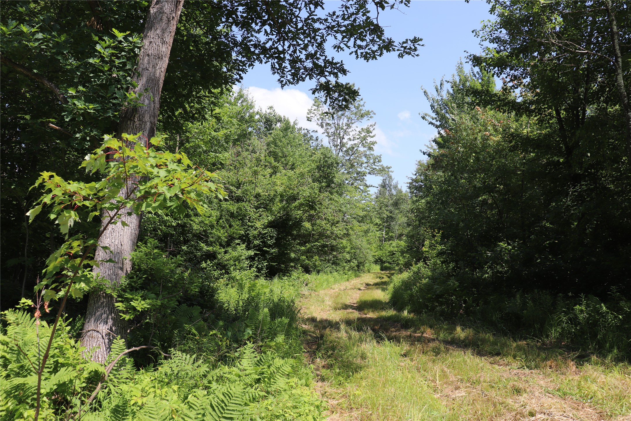 Property Photo #53